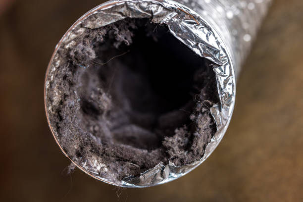 Best Ductwork Odor Removal in Elkton, MD